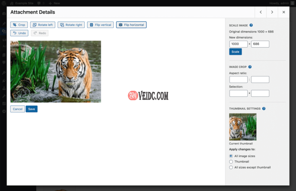 WordPress中的图像水平翻转