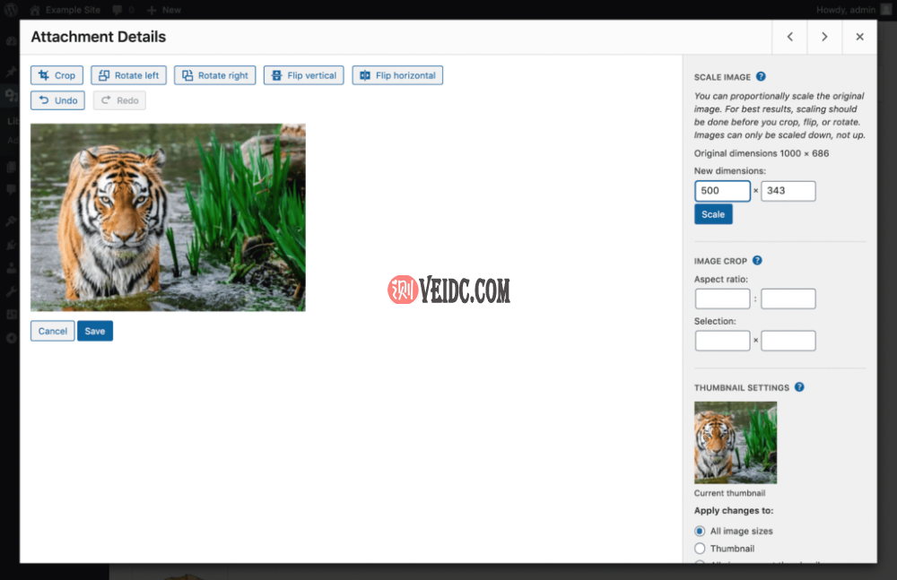 在WordPress中拉伸图像