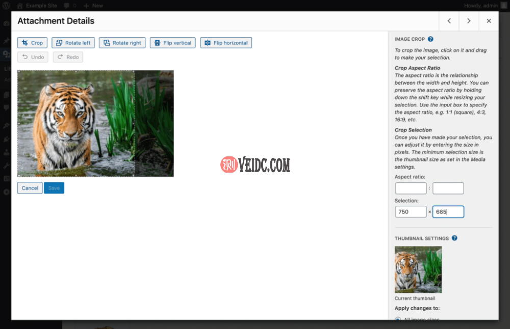 在WordPress中设置图像裁剪选择尺寸