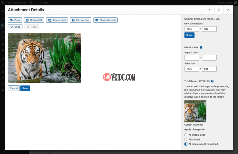 WordPress图像编辑器中的缩略图设置