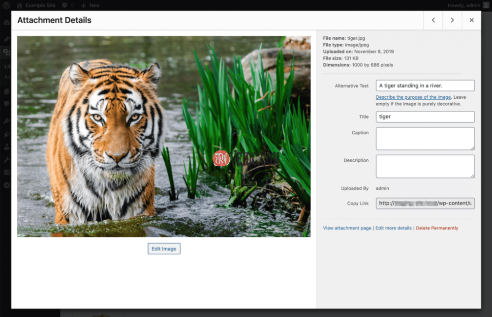 默认附件详细信息面板