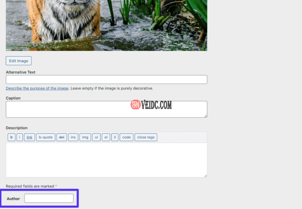 新的“作者”元数据字段