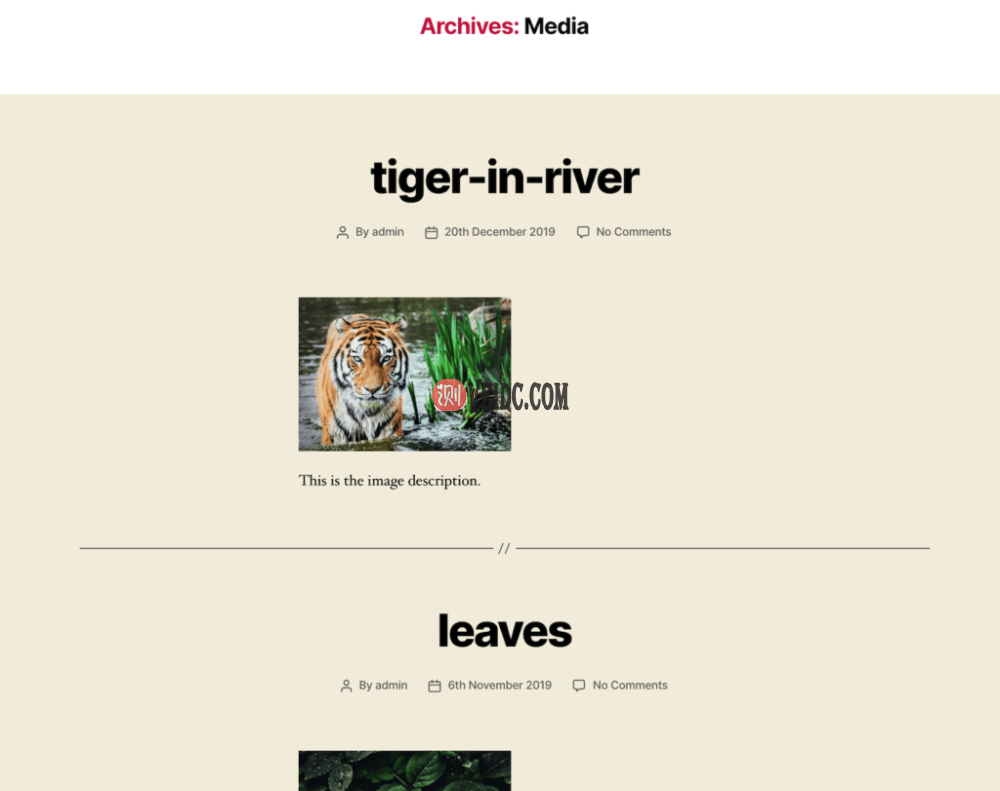 WordPress媒体档案