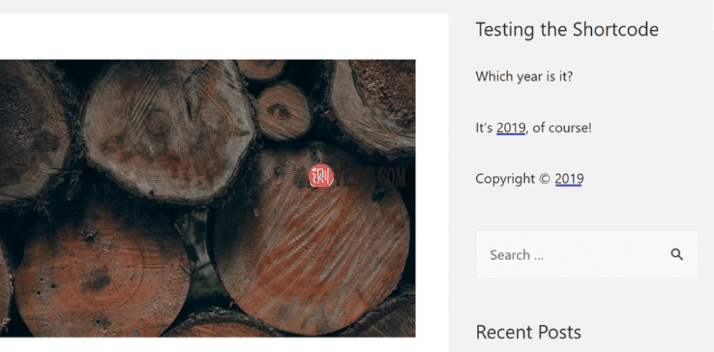 年份短代码的输出