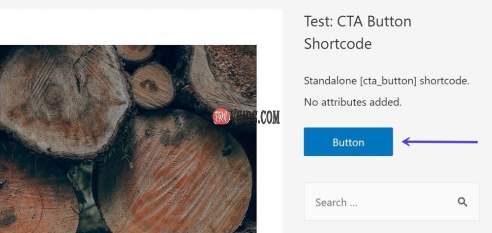 CTA按钮短代码的输出显示它按预期完美运行