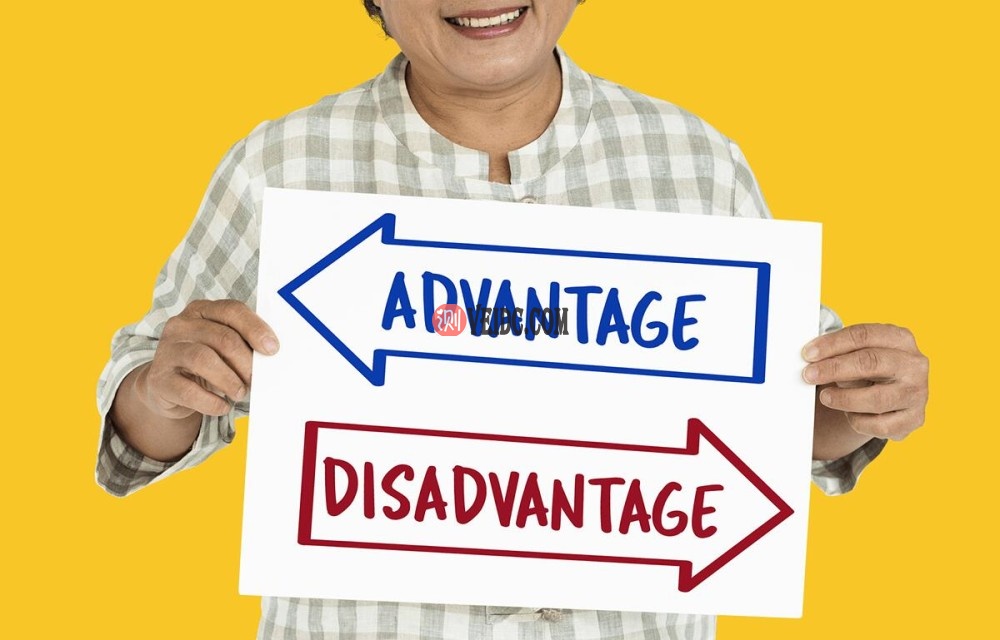 美国VPS优缺点分析