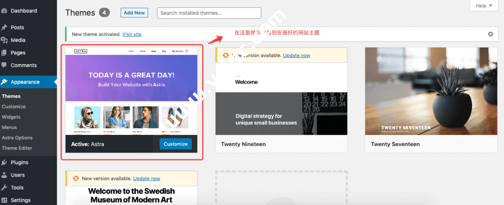 查看安装好的主题