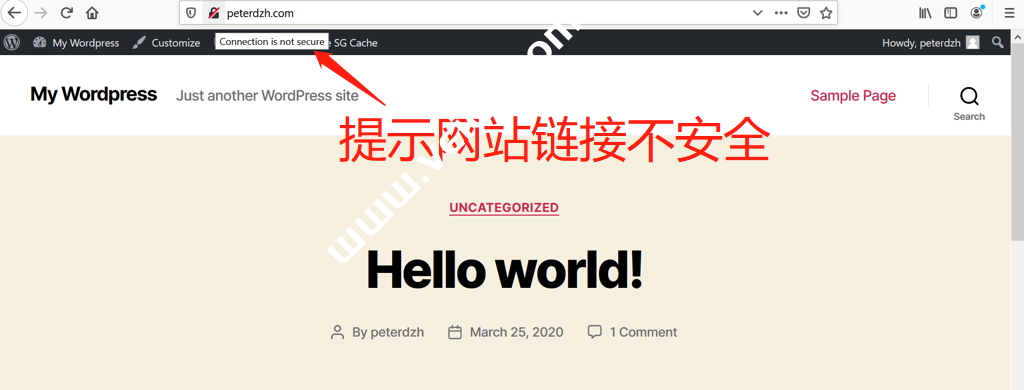 2022年最新SiteGround主机安装免费SSL数字证书教程-国外主机测评