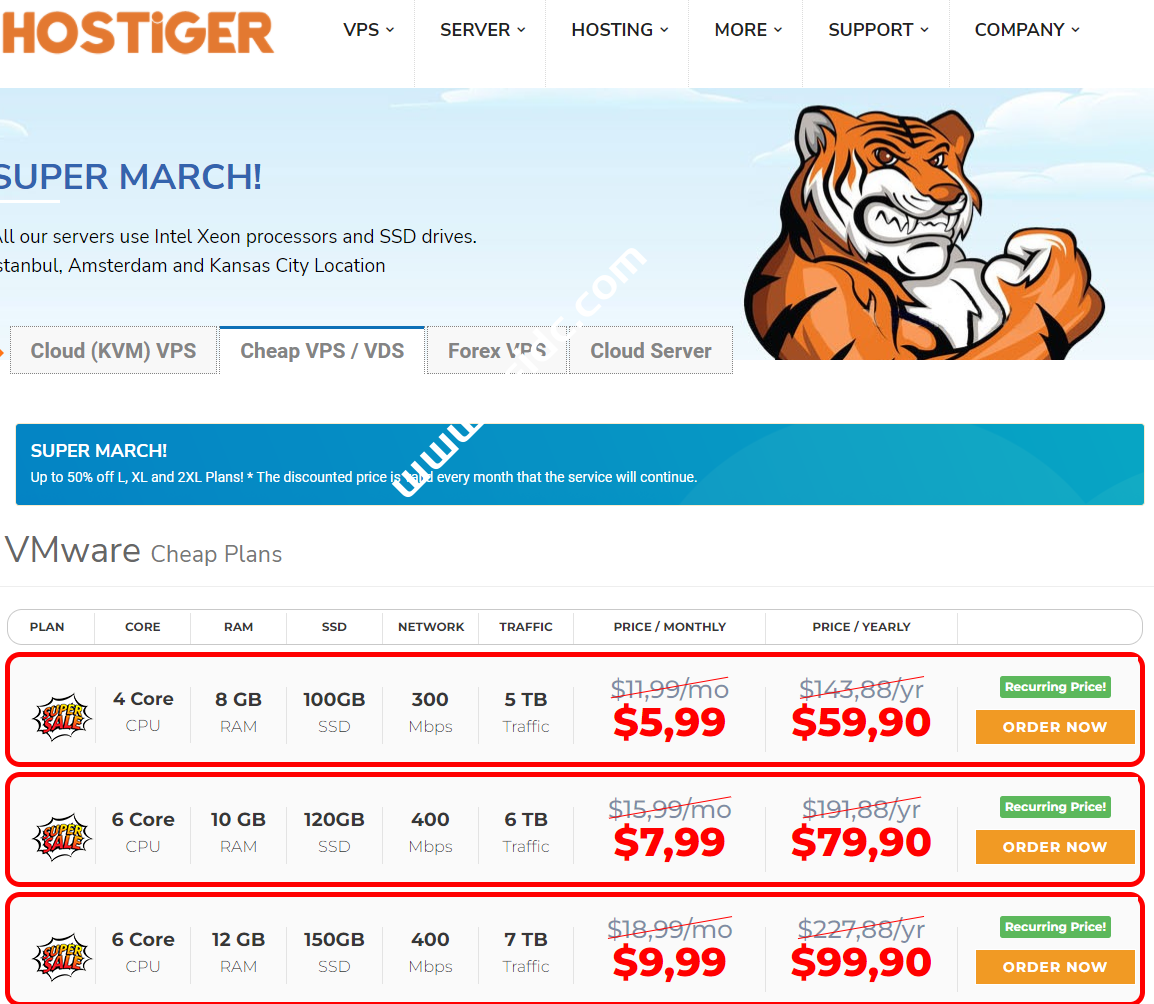 Hostiger：超级三月优惠，土耳其VPS，4核/8G内存/100G SSD/300M@5T流量，$59.9/年-国外主机测评