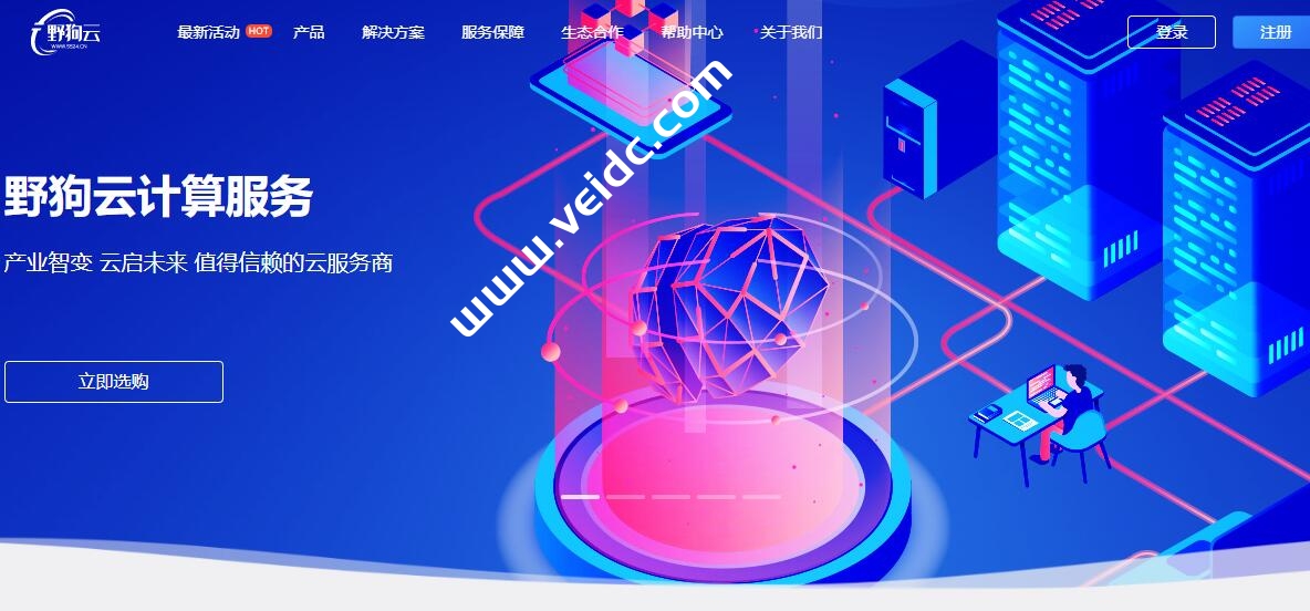 野狗云#投稿#：香港CN2 GIA云服务器，2H2G/40GB SSD，高性能高品质带宽月付39元起测评-国外主机测评