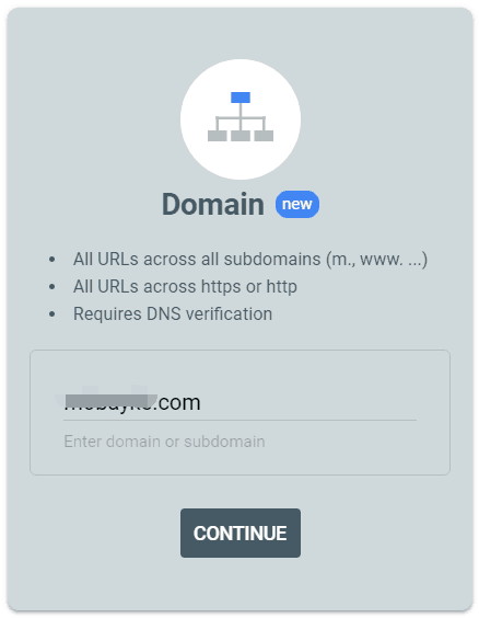 域级验证 - 输入主域名