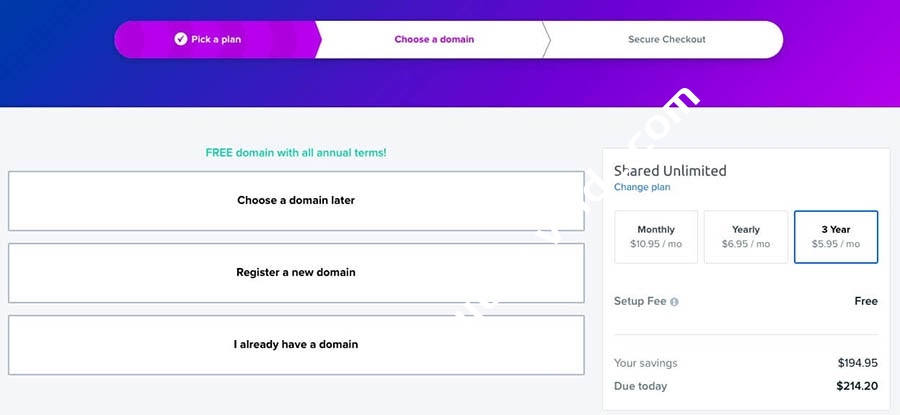 选择付款计划和域名。