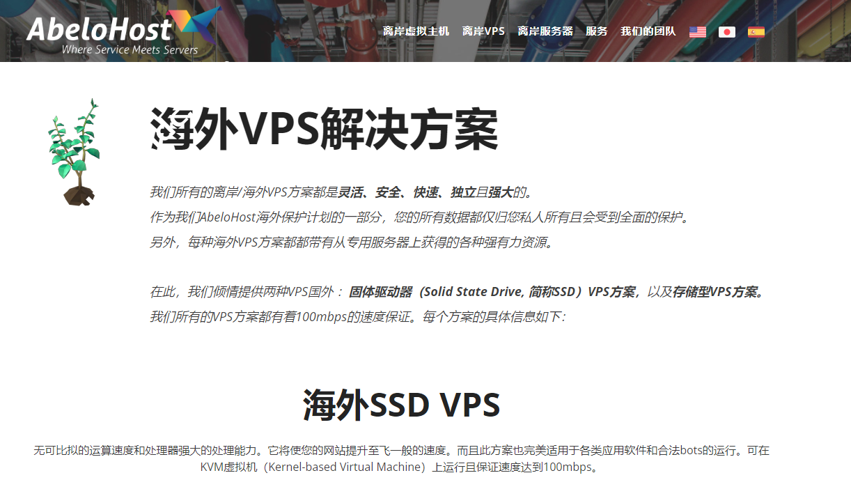 AbeloHost：荷兰离岸VPS，抗投诉服务器，无视版权，1Gbps不限流量，月付€9.99起，离岸专用服务器€52.8/月起-国外主机测评