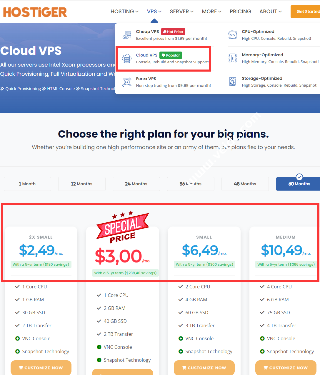 HostiGer：国外VPS云服务器，可选美国/荷兰/土耳其，VMware虚拟架构，1核1G内存300Mbps带宽，$ 149/5年-国外主机测评