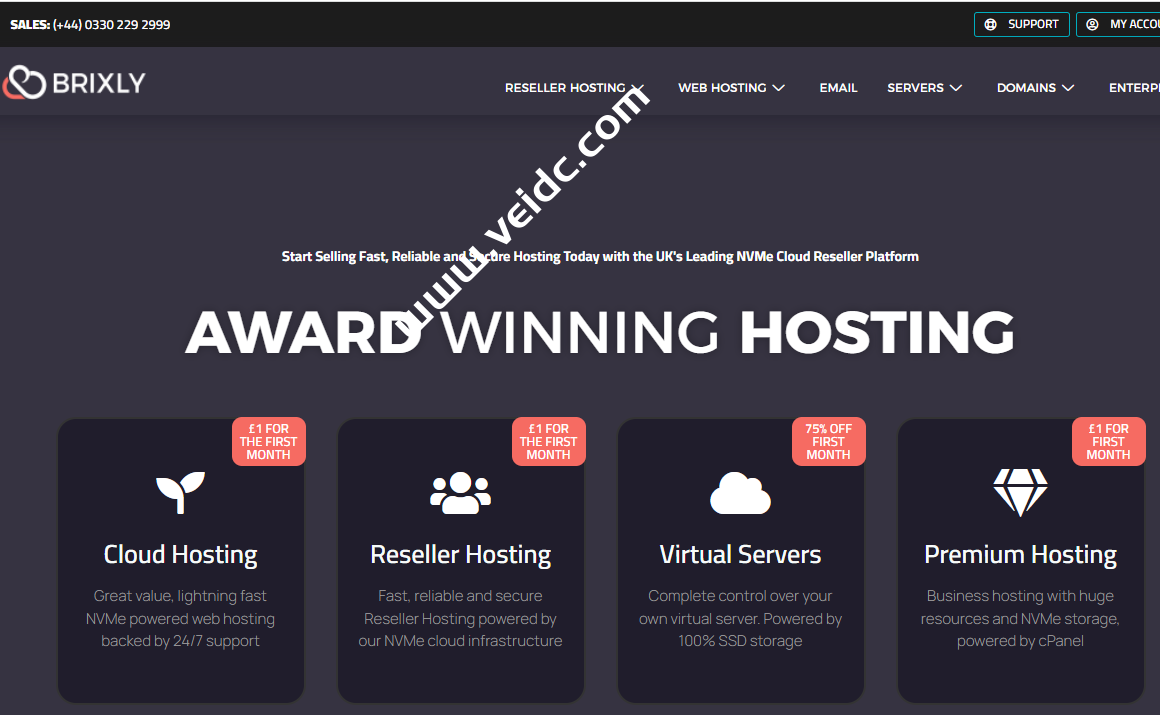 Brixly：英国VPS，1核1G30GB SSD，100Mbps不限流量，£ 10/月（首月只需 1 英镑）-国外主机测评