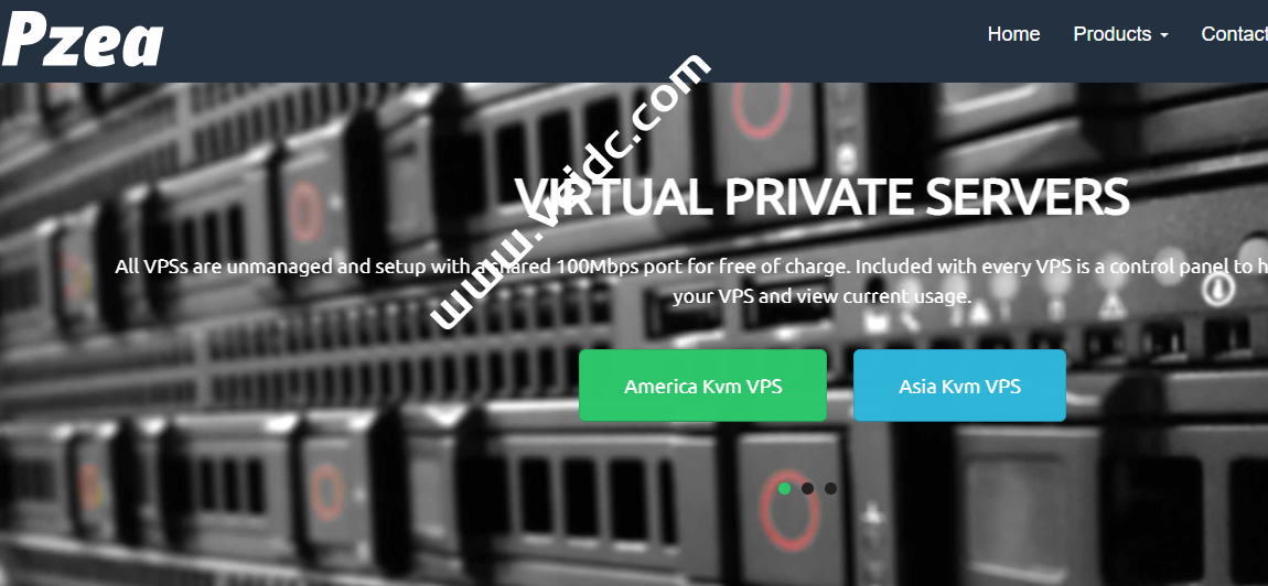 Pzea：新加坡和日本服务器，首月5折优惠，E3-1230V3/8G/2TB HDD/100Mbps@3TB或10Mbps不限流量，月付$49.5起-国外主机测评