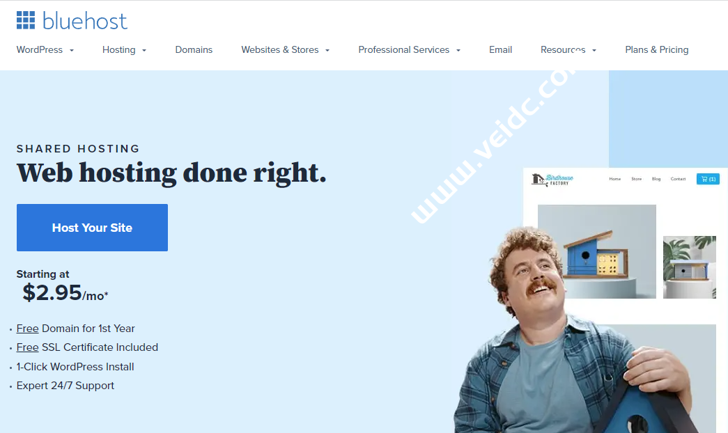 2022年国外老牌虚拟主机商家，外贸建站主机推荐-国外主机测评