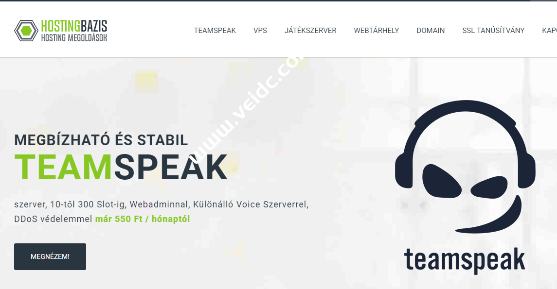 Hostingbazis：匈牙利大带宽VPS，10Gbps不限流量，月付990 Ft，约人民币17元-国外主机测评