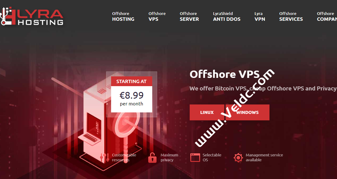 Lyrahosting：荷兰离岸VPS，1核1G内存 20GB SSD，1Gbps不限流量，€8.99 /月起-国外主机测评
