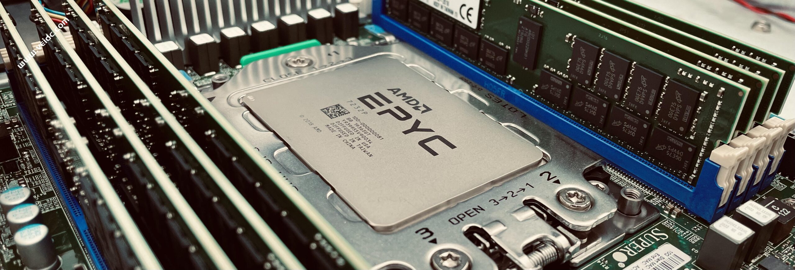 AlphaVPS：德国AMD EPYC VPS首月半价优惠，月付€1.99起，保加利亚服务器月付€30.0EUR起-国外主机测评