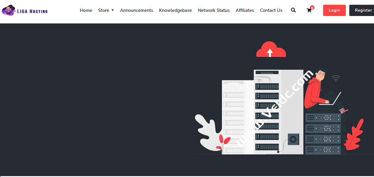 Liga Hosting：美国便宜VPS，可选西雅图和达拉斯机房，2核2G内存50GB SSD，1Gbps@2TB流量，年付€20起，泰国VPS 100M不限流量，月付€4.99起-国外主机测评