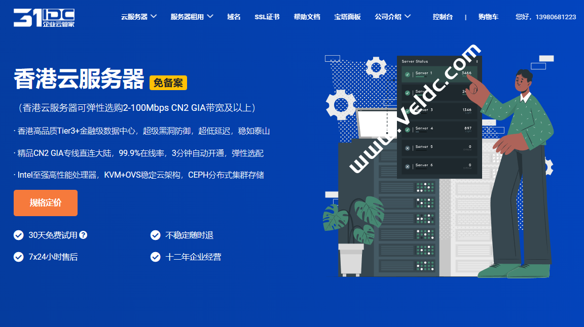 31IDC：香港云服务器，精品优化CN2 GIA网络，月付58元起，新客1元免费试用30天-国外主机测评