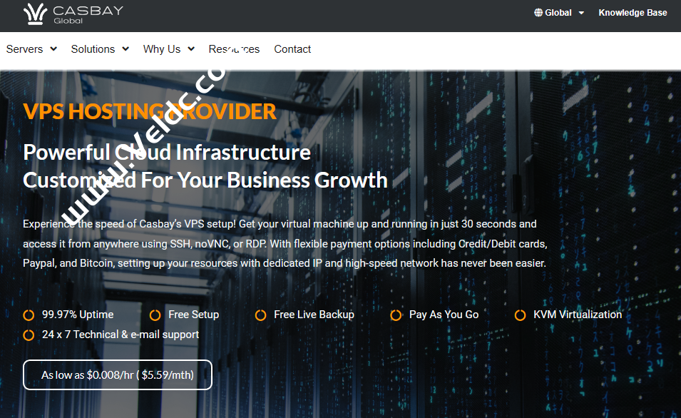 Casbay投稿：马来西亚VPS，可选Linux/Windows，1核2G 20GB SSD，100M不限流量，月付$ 14.60起-国外主机测评
