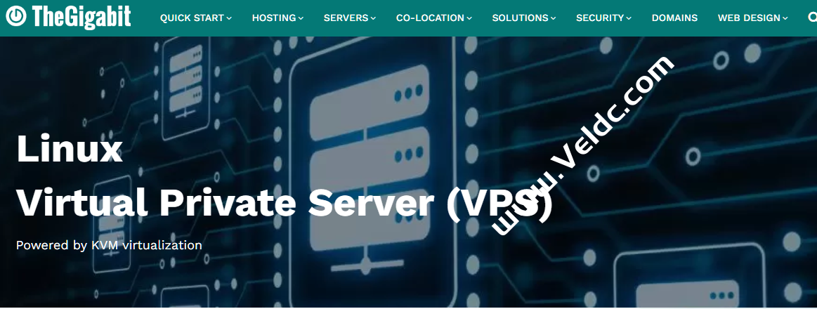 TheGigabit：马来西亚Linux VPS/Windows VPS，1核1G内存40G SSD存储，10M不限流量，月付40马币，约人民币61元-国外主机测评