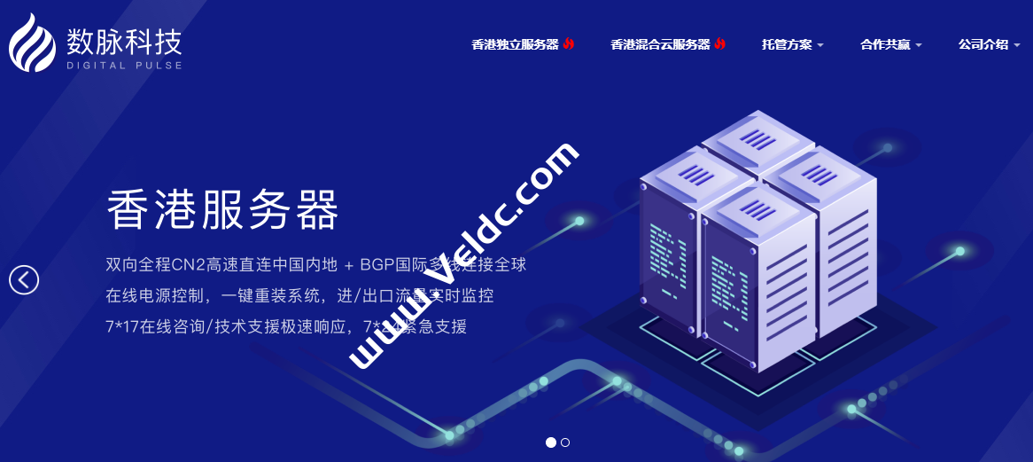 数脉科技：香港独立服务器促销，E3-1230v2/16 GB内存/1TB HDD，30Mbps普通BGP不限流量，最高可加50个IP，月付246元起-国外主机测评