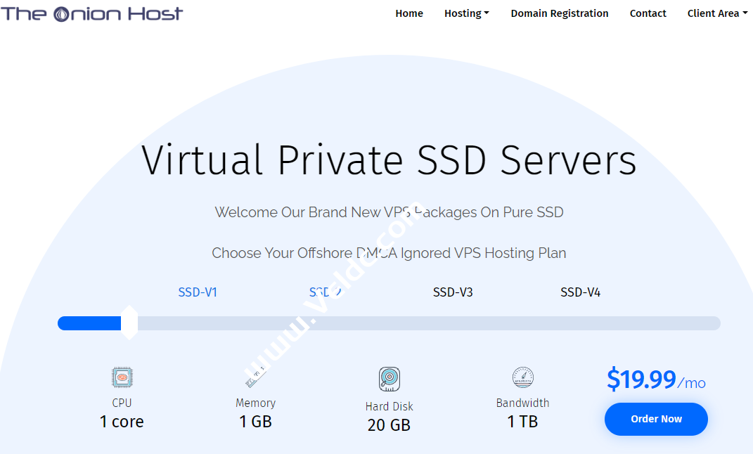 TheOnionHost：保加利亚VPS，无视DMCA，1核1GB内存20GB SSD，1Gbps@1TB流量，免费10G的DDoS防护，月付$19.99起-国外主机测评