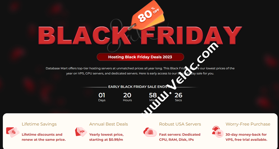 Database Mart: VPS/GPU/独服黑五优惠提前享, $0.99/月,2折起,原生美国IP,带宽不限流-国外主机测评