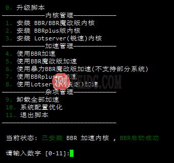 BBR、BBR魔改版、BBRplus、锐速、腾讯 TCPA和新版BBR v3 加速如何选择？-国外主机测评