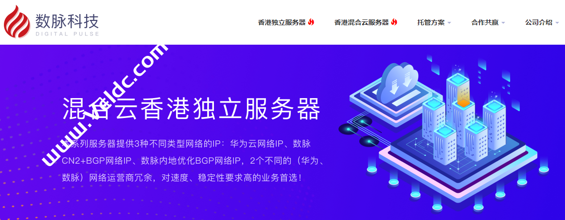 数脉科技：香港服务器优惠，E3-1230v2/8GB内存/240GB SSD，可选香港BGP/华为混合多种网络，月付246元起-国外主机测评