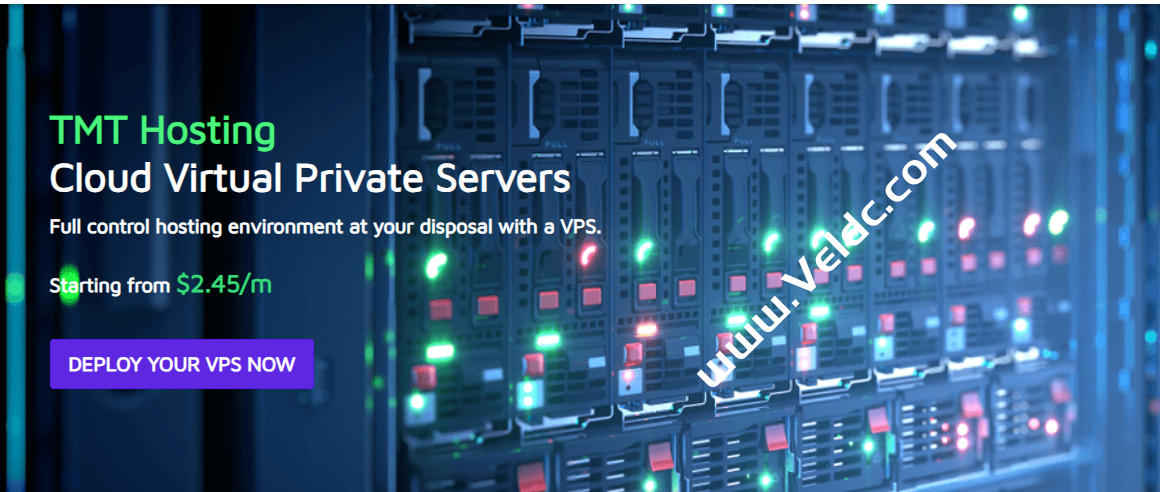 TMT Hosting：美国西雅图服务器促销，SpartanHost 4837同线路/免费20Gb/s DDoS 保护，2xL5520/96GB内存/1TB SSD，月付$69.99起-国外主机测评