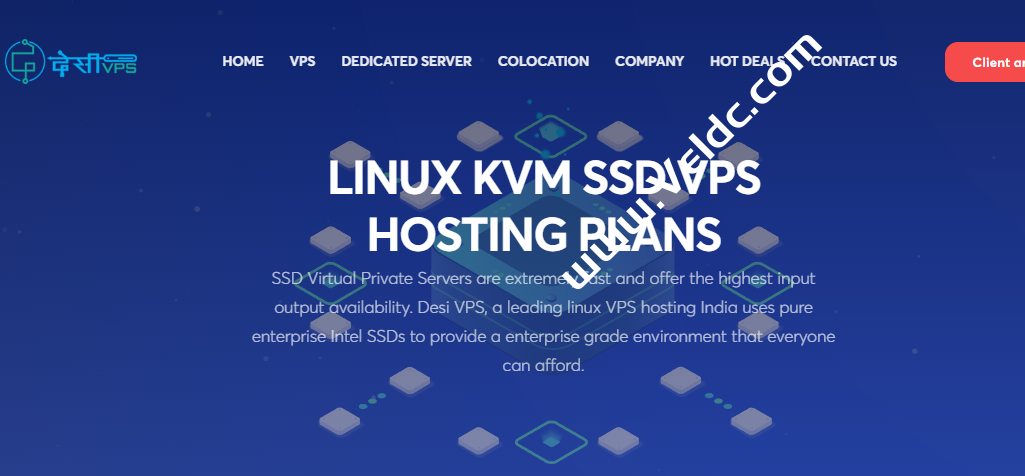 DesiVPS：美国VPS/美国独立服务器新年限时优惠，圣何塞AMD Ryzen9 VPS/NVMe存储/10Gbps大带宽，年付$11起-国外主机测评