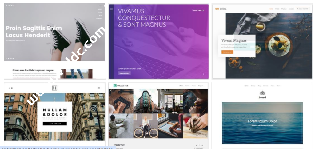 A2 Hosting 网站生成器