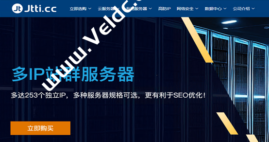 Jtti：美国多IP站群服务器-最高253IP/CN2线路-免费DDoS支持/可定制C段-国外主机测评