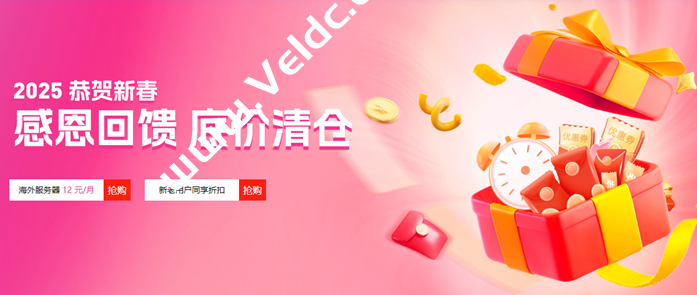 衡天云：2025恭贺新春，云服务器12元限量抢购，香港物理机月付仅486元-国外主机测评