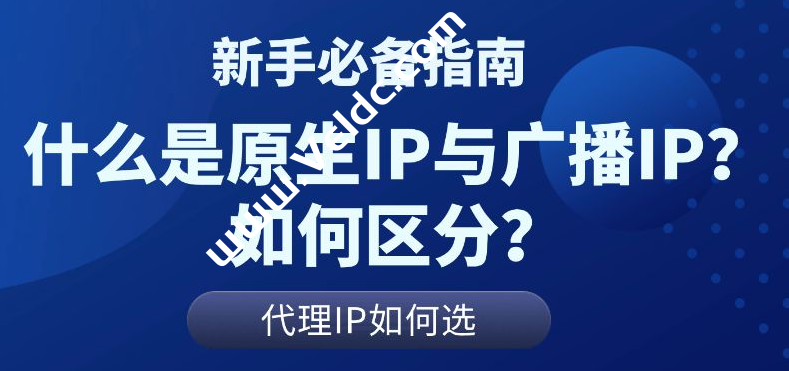 什么是原生IP与广播IP？原生IP有何优势？-国外主机测评