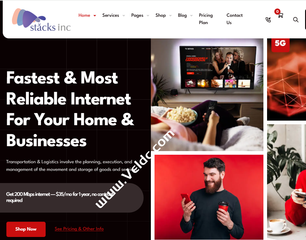 Stacks inc：香港国际BGP大带宽VPS，1核1GB/10GB SSD，1Gbps@1TB，支持解锁多种流媒体，月付14.4元起-国外主机测评