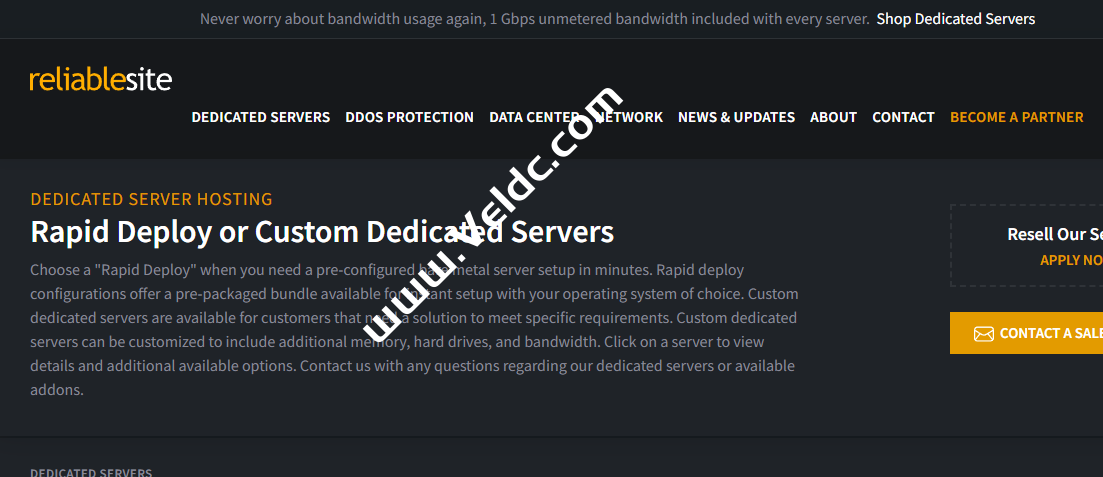 ReliableSite：美国便宜服务器/大硬盘存储服务器/1Gbps不限流量/免费20Gbps DDoS防护，月付$29起-国外主机测评