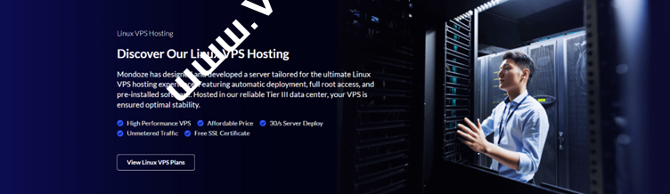 Mondoze：Linux VPS 一年正在优惠当中！！仅需 $ 6.58 ！！  马来西亚 Linux 住宅服务器，原生 IP/住宅 IP/100M 大带宽，稳定高速，速抢！-国外主机测评