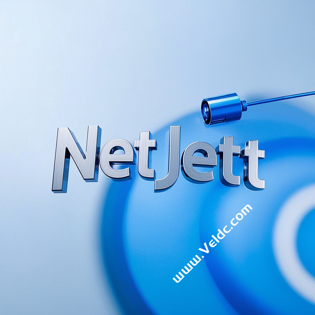 NetJett：德国高性能VPS促销，1核AMD EPYC 9654/1GB DDR5/25GB NVMe+25GB HDD，1Gbps@10TB，年付€10.99起-国外主机测评
