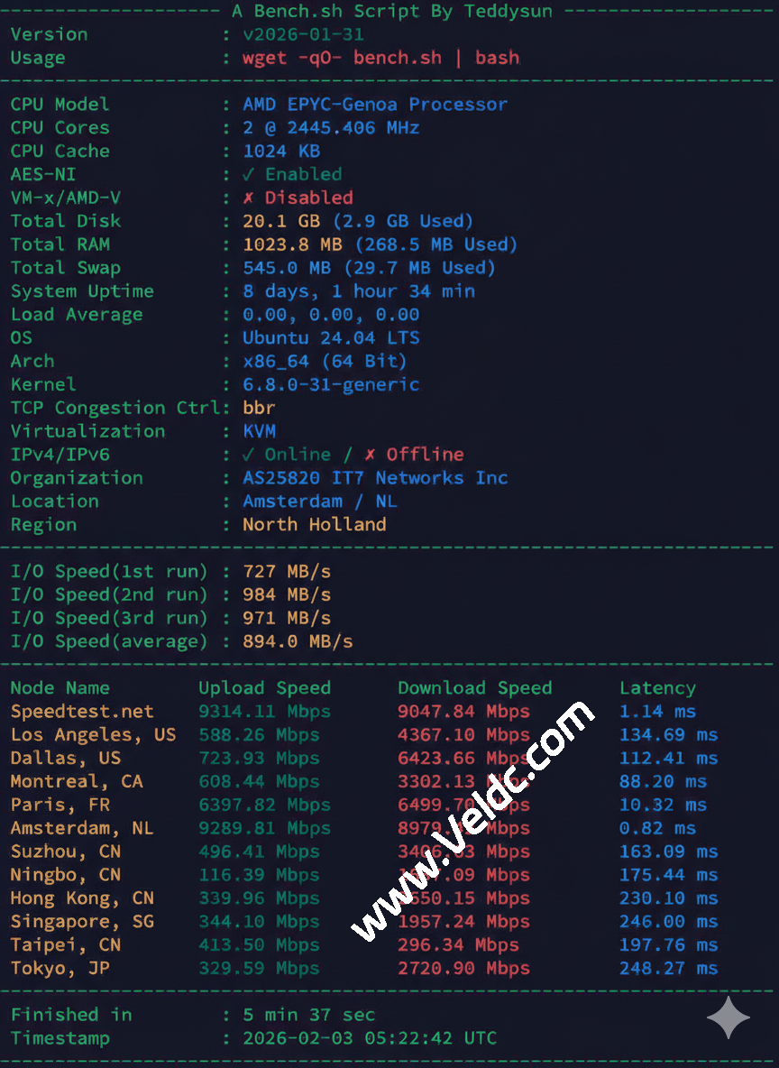 搬瓦工荷兰 EUNL_1 怎么样？2026 最新测评：硬件性能、丢包率、路由全解析-国外主机测评